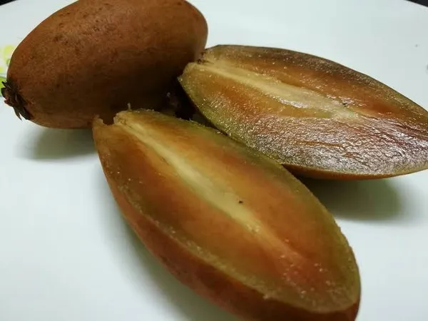 Thai_Banana_Chikoo/Sapota_Grafted_Fruit_Plant