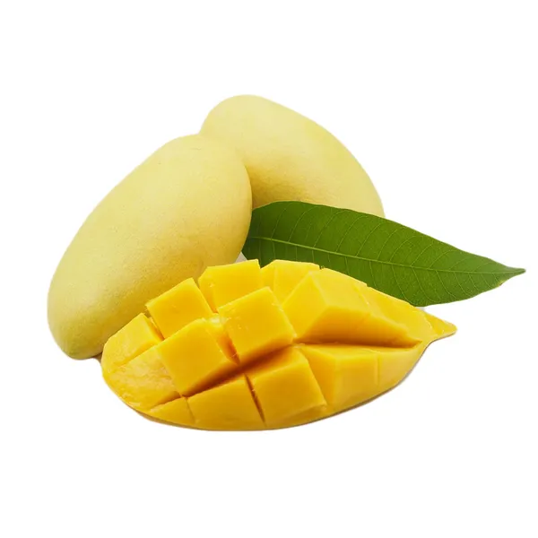 Thai_Dok_Mai_Mango_Hybrid_Grafted_Plant