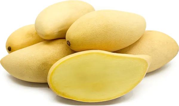Thai_Dok_Mai_Mango_Hybrid_Grafted_Plant