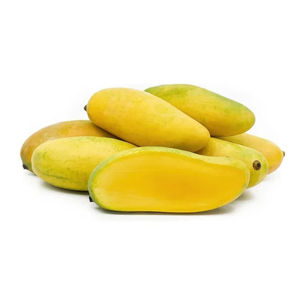 Thai_King_Long_Banana_Mango_Grafted_Plant