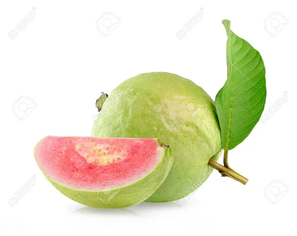 Thai_Pink_Guava_Plant_(Pack_Of_1)