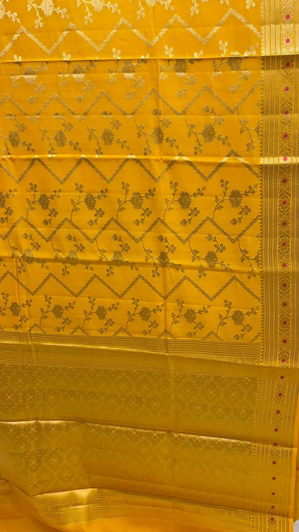 Humairah_Pure_Handwoven_Gold_Chiniya_Silk_Zari_Jaal_Zig-Zag_with_Minakari_Zari_Border_Banarasi_Saree_with_Gold_Blouse_piece