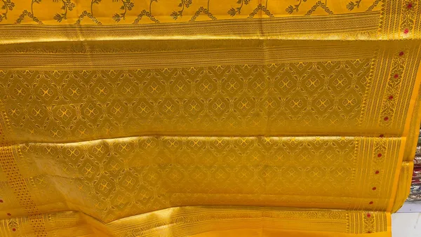 Humairah_Pure_Handwoven_Gold_Chiniya_Silk_Zari_Jaal_Zig-Zag_with_Minakari_Zari_Border_Banarasi_Saree_with_Gold_Blouse_piece