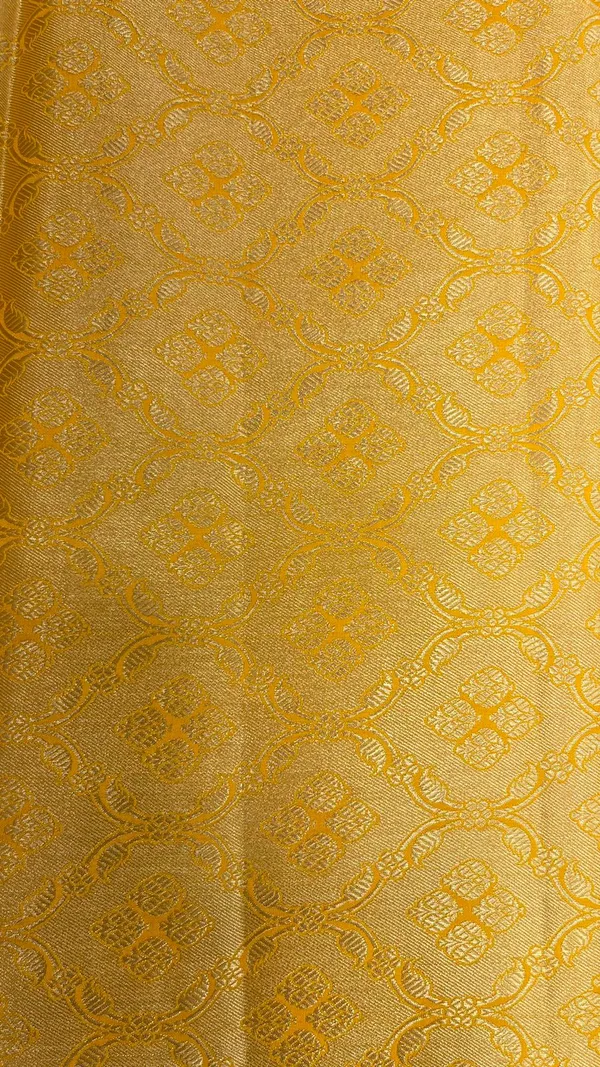 Humairah_Pure_Handwoven_Gold_Chiniya_Silk_Zari_Jaal_Zig-Zag_with_Minakari_Zari_Border_Banarasi_Saree_with_Gold_Blouse_piece