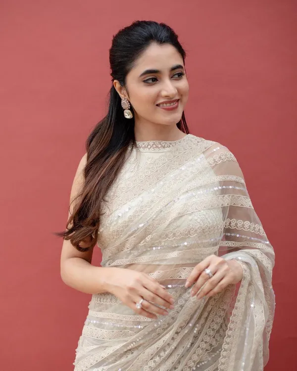 Mono_Net_Sequence_Saree_With_Beautiful_Threadwork