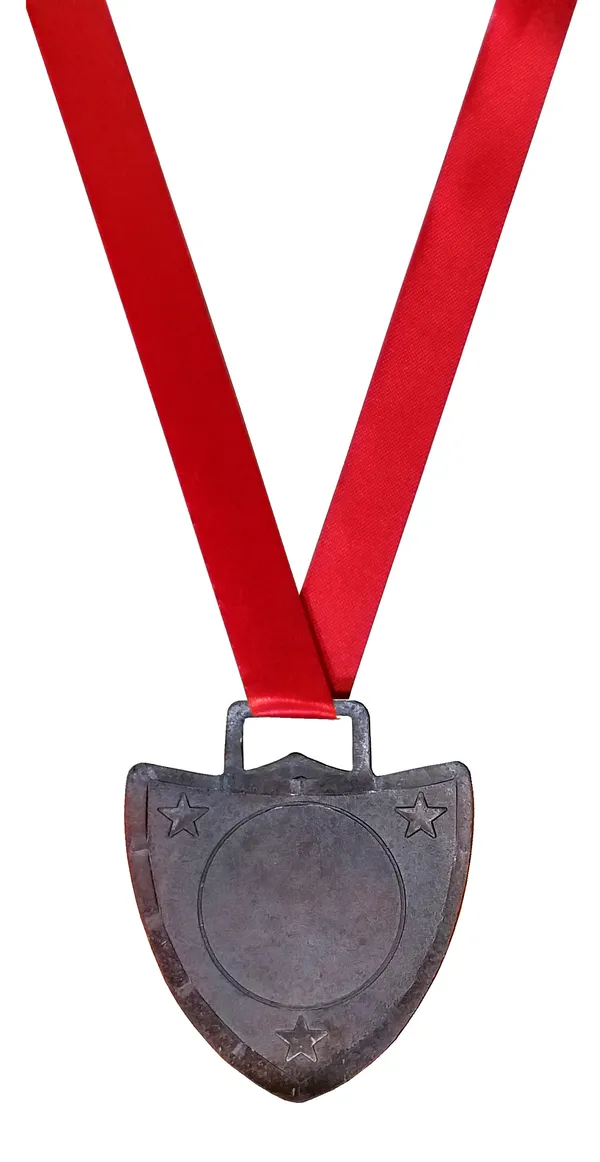 Pack_Of_24_Shield_Medals_|_With_Satin_Ribbon_|_Size_-_2.5_Inch_Dia_|_Brown