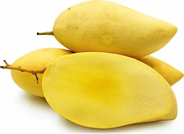 Honeydew_(Grafted)_Sweet_Mango_Fruit_Plant_(Hybrid,_Pack_Of_1)