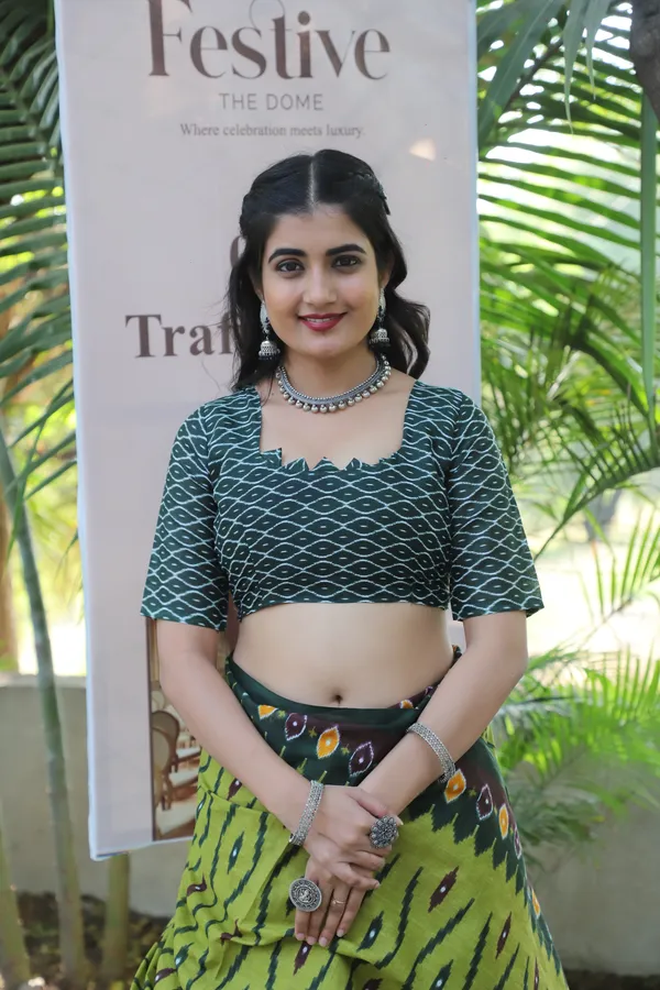 Ikkat_Hand_Block_Print_Print_Pure_Soft_Cotton_saree_With_Blouse_Piece