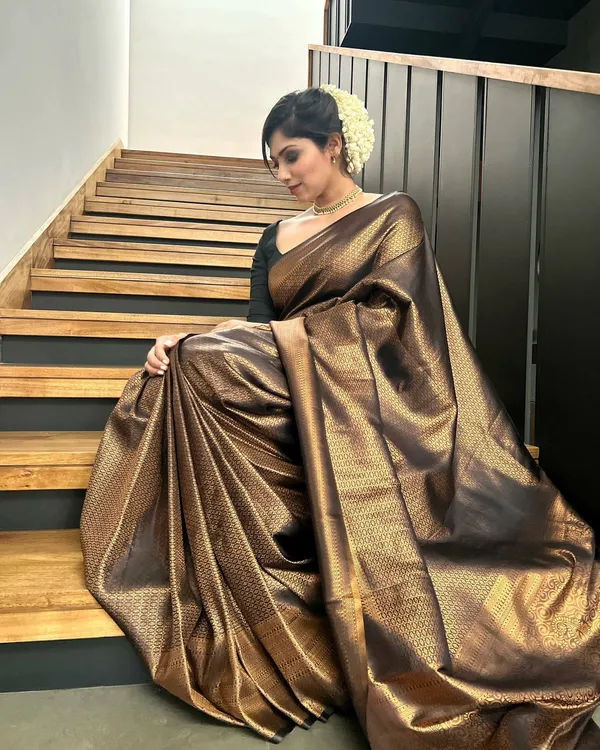 Brown_Printed_Chinnalapattu_Jacquard_Saree