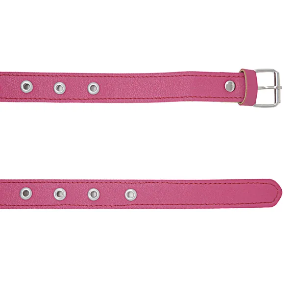 Exotique_Green_&_Pink_Faux_Leather_Belt_Combo_For_Women_(WC0021MU)