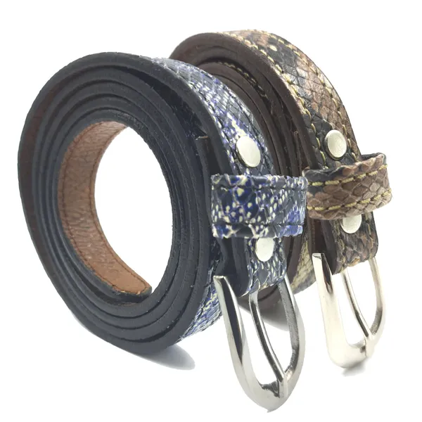 Exotique_Brown_&_Blue_Leather_Belt_Combo_For_Women_(WC0036MU)