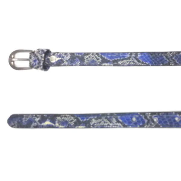Exotique_Brown_&_Blue_Leather_Belt_Combo_For_Women_(WC0036MU)