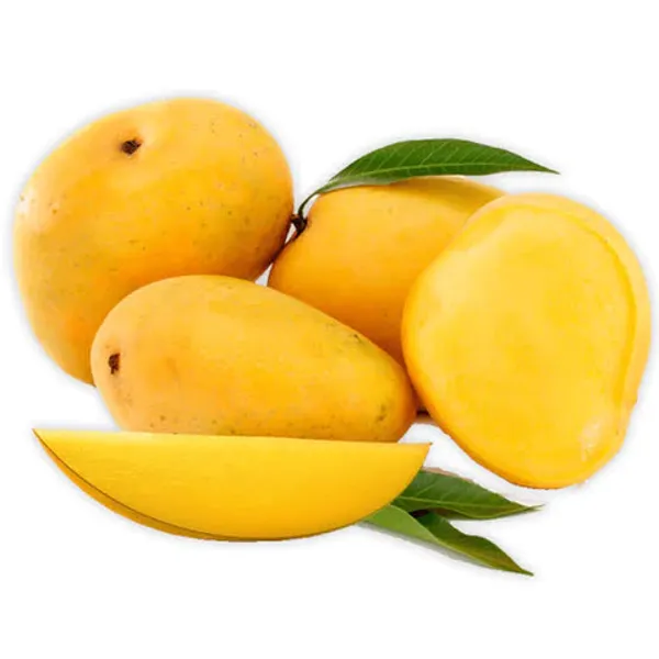 Chaunsa_Mango_Grafted_Plant