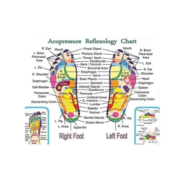 Sheesham_Wood_8-Roller_Acupressure_Foot_Massager