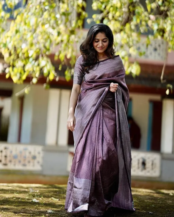 Brown_Woven_Kanjivaram_100%_Pure_Silk_Saree_with_Free_Saree_Cover