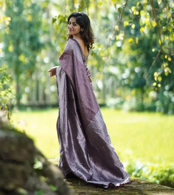 Brown_Woven_Kanjivaram_100%_Pure_Silk_Saree_with_Free_Saree_Cover
