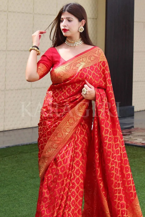 Red_Woven_Kanjivaram_Silk_Saree_with_Saree_Cover