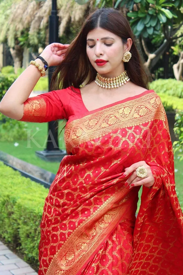 Red_Woven_Kanjivaram_Silk_Saree_with_Saree_Cover