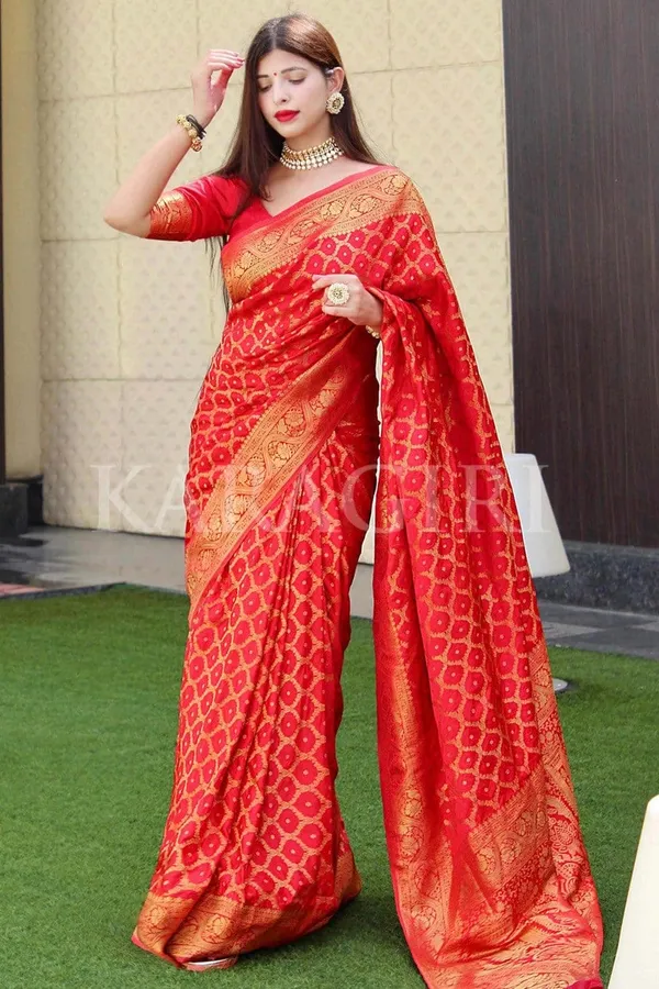 Red_Woven_Kanjivaram_Silk_Saree_with_Saree_Cover