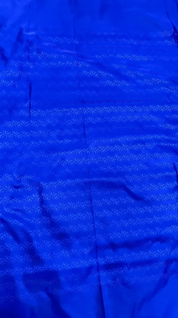 Humairah_Presents_Royal_Blue_Katan_Silk_Silver_Zari_Booti_and_Floral_Zari_Jaal_Border_and_Heavy_Pallu_Banarasi_saree_with_Blue_Blouse