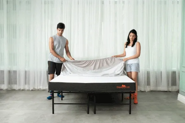 BLUE_Pure_Cotton_Bedsheet_90X100_Inches_with_Two_Pillow_Covers_Included_