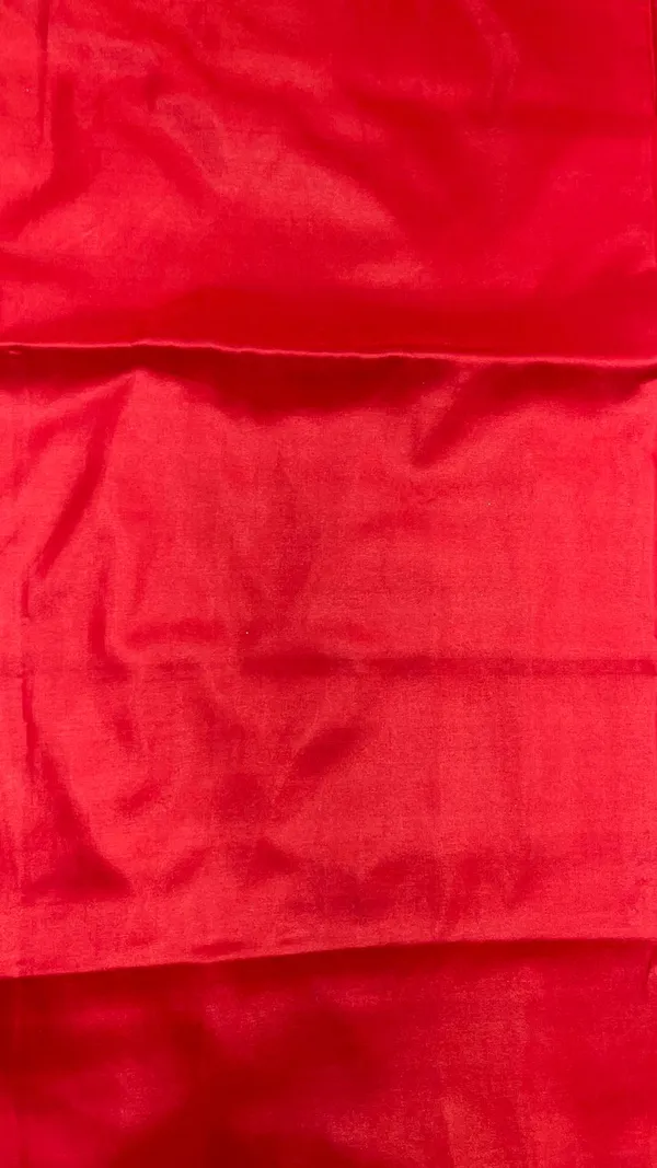 Humairah_Presents_Blue_Satin_Silk_Silver_Zari_Pan_Booti_and_Contrast_Red_Zari_Border_and_Heavy_Silver_Zari_Floral_Anchal_Banarasi_Saree_with_Red_Blouse