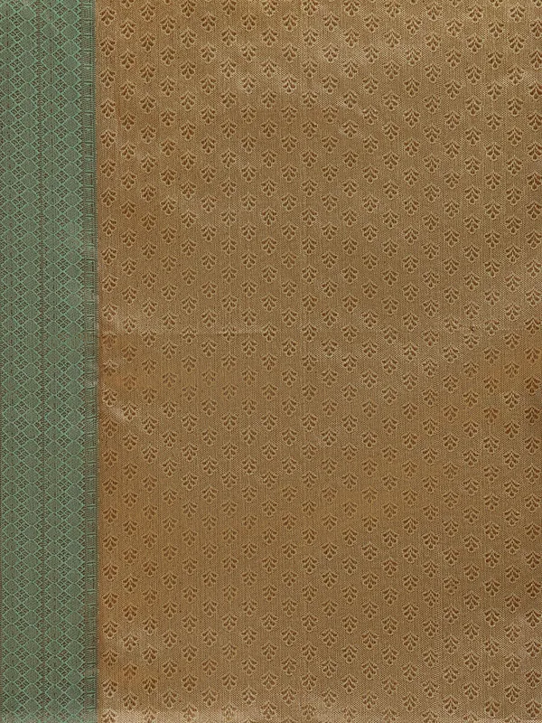 Gold_Tissue_Banarasi_Sarees_For_Women