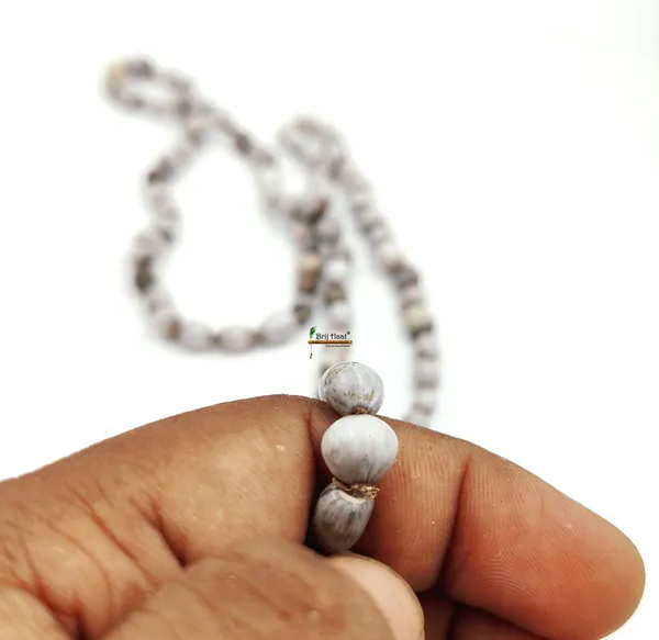 Vaijayanti_jaap_japa_mala_108+1_Beads_With_Cotton_Gaumukhi_bag_Jholi