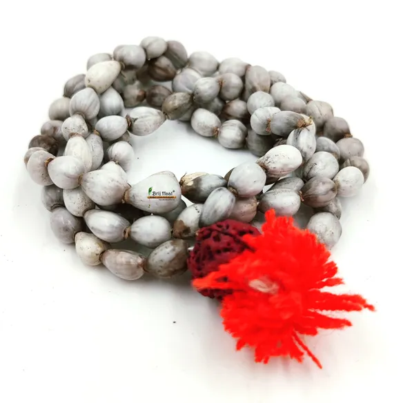 Vaijayanti_jaap_japa_mala_108+1_Beads_With_Cotton_Gaumukhi_bag_Jholi