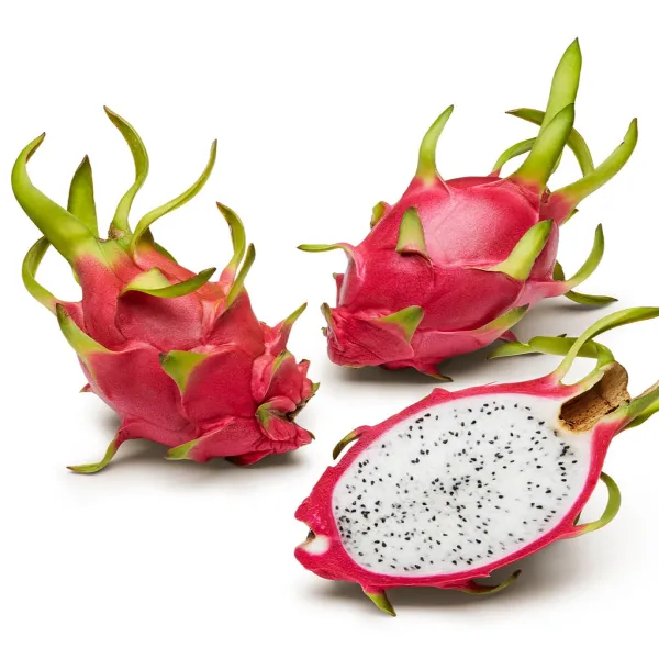 Hybrid_White_Dragon_Fruit_Plant_Without_Pot
