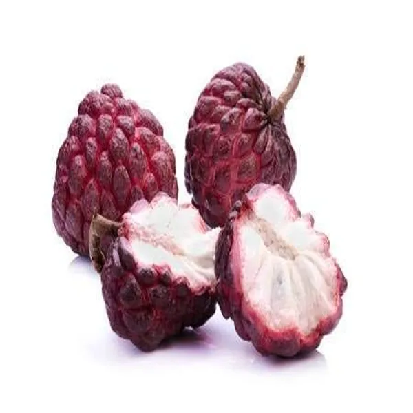 Red_Custard_Apple_Grafted_Plant