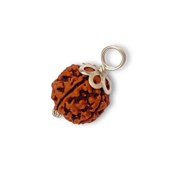 5_Mukhi_Rudraksha_Bracelet_and_5_Mukhi_Rudraksha_Pendant_in_Silver(Combo_pack)