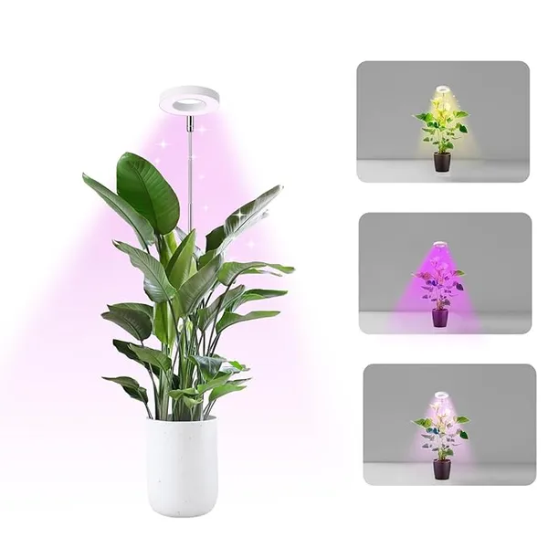 Grow_Light_for_Indoor_Plants,_Full_Spectrum_LED,_Adjustable_Height_and_Brightness,_Timer,_Ideal_for_Small_Plants