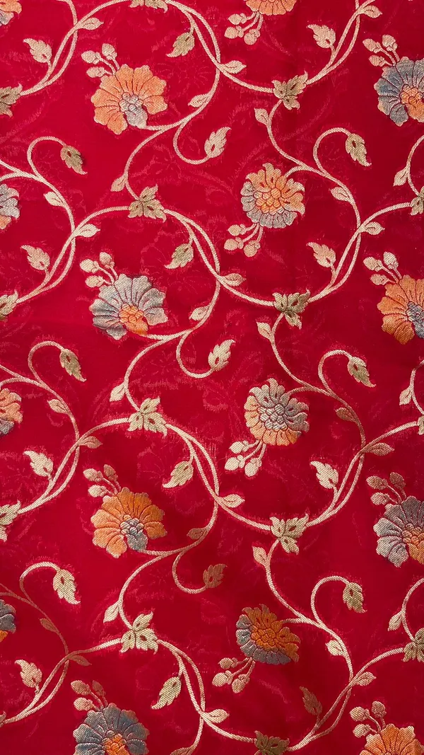 Humairah_Pure_Handwoven_Red_Khaddi_Georgette_Hand_Brush_Floral_Zari_Jaal_Banarasi_Zari_Border_Saree_with_Red_Blouse_piece