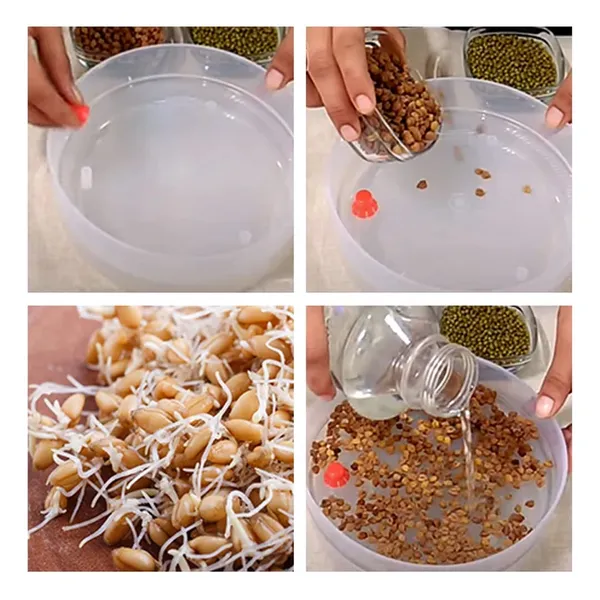 Sprout_Maker_3_Bowl