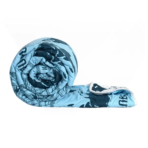 Printed_Single_Comforter_for_Mild_Winter_(Polyester,_Blue,_White)