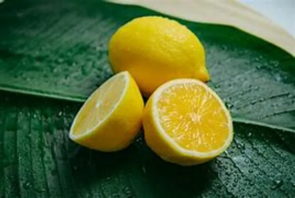 Seedless_Lamon