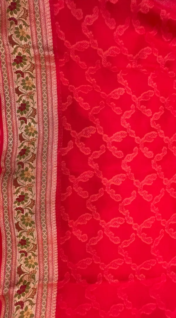 Humairah_Presents_Pure_Handloom_Red_Chiffon_Gold_Zari_Jaal_with_Floral_Mina_Jaal_Anchal_and_Tilfi_Zari_Border_with_Red_Blouse