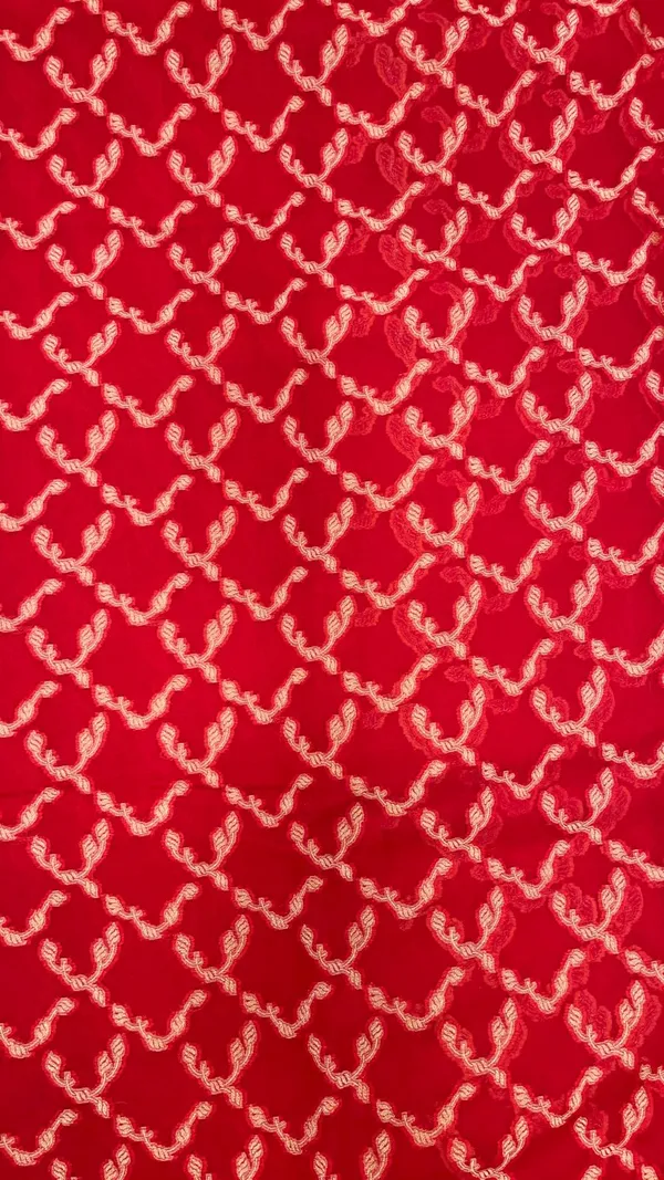 Humairah_Presents_Pure_Handloom_Red_Chiffon_Gold_Zari_Jaal_with_Floral_Mina_Jaal_Anchal_and_Tilfi_Zari_Border_with_Red_Blouse