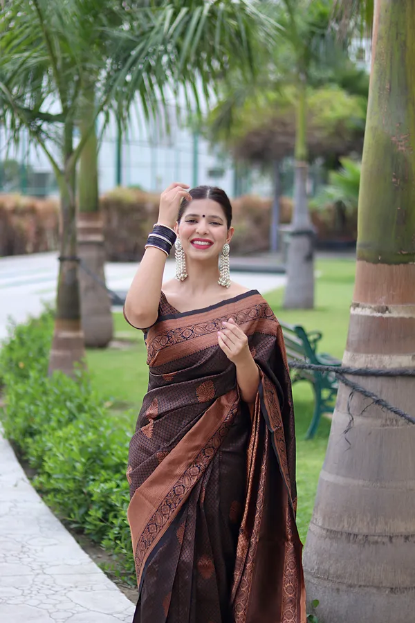 BROWN_KANJIVARAM_SILK__SAREE