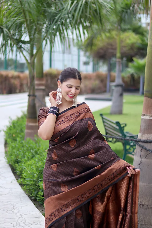 BROWN_KANJIVARAM_SILK__SAREE