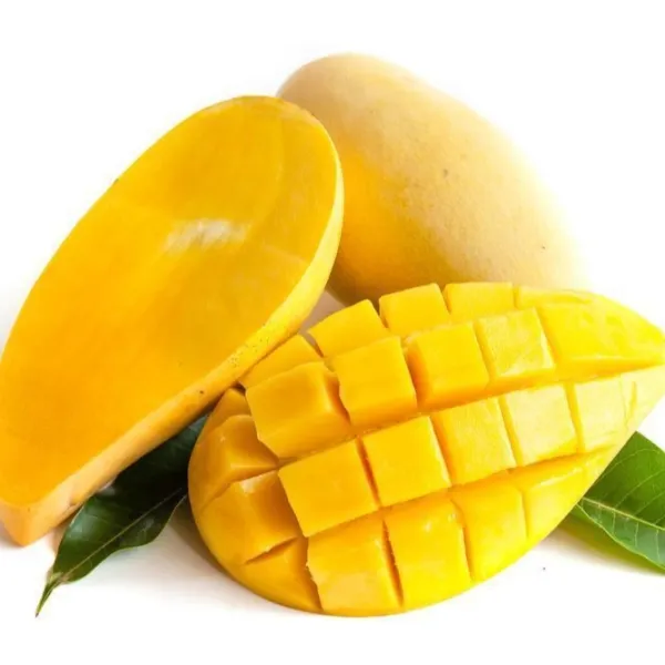 Nam_Doc_Mai_White_Mango_Plant_Grafted
