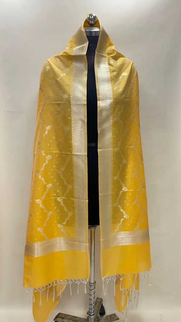 Humairah_Present_Gold_Nakli_Semi_Katan_Silk_Silver_Zari_Zig_Zag_Stripe_Zari_Border_Banarasi_Dupatta