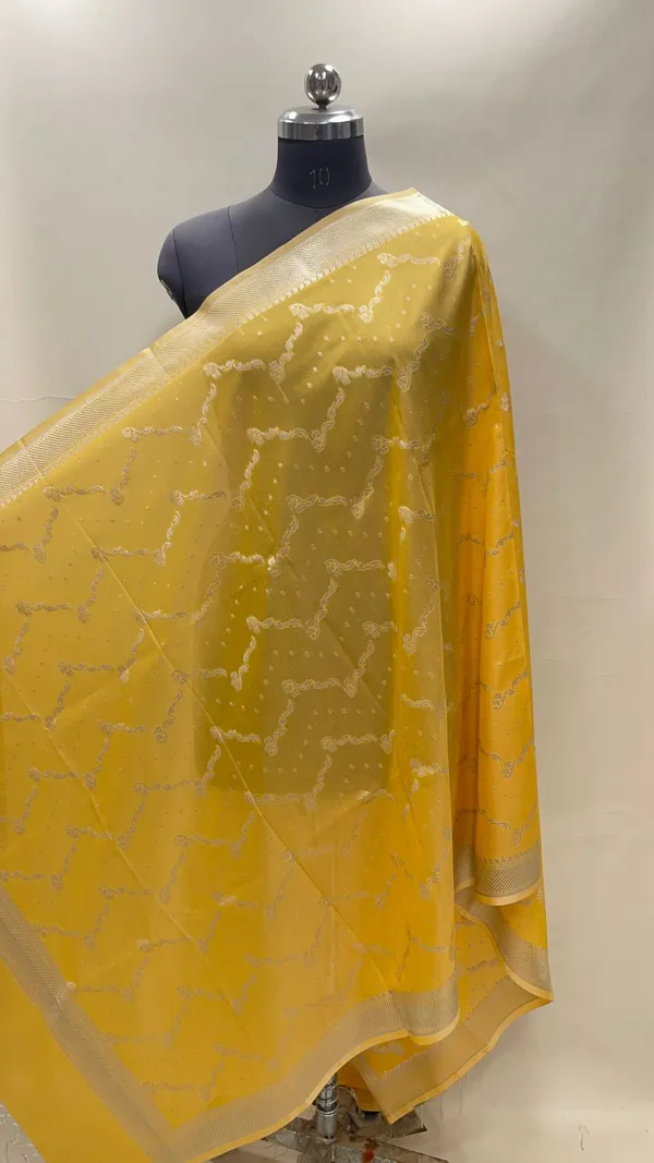 Humairah_Present_Gold_Nakli_Semi_Katan_Silk_Silver_Zari_Zig_Zag_Stripe_Zari_Border_Banarasi_Dupatta