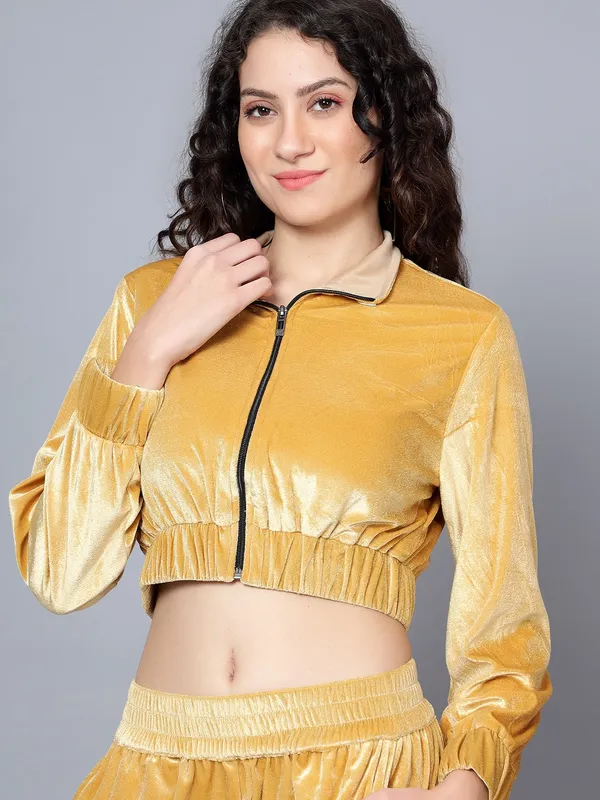 Gold-Toned_Shirt_Collar_Velvet_Crop_Jacket_With_Trousers_Co-ords_Set