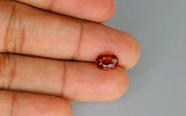Free_Size_Brown