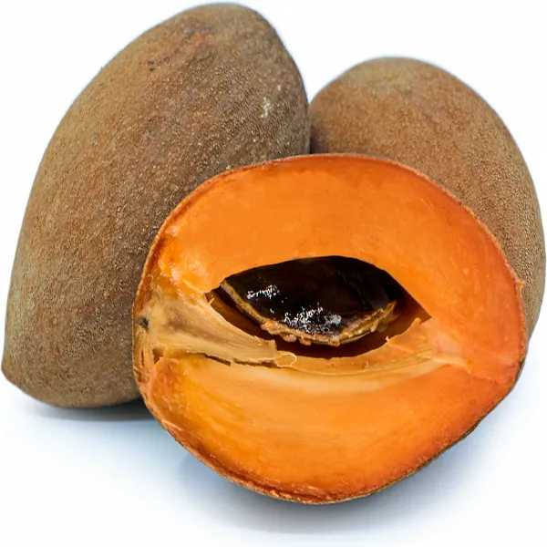 Mamey_Sapote_Fruit_Plant_Outdoor