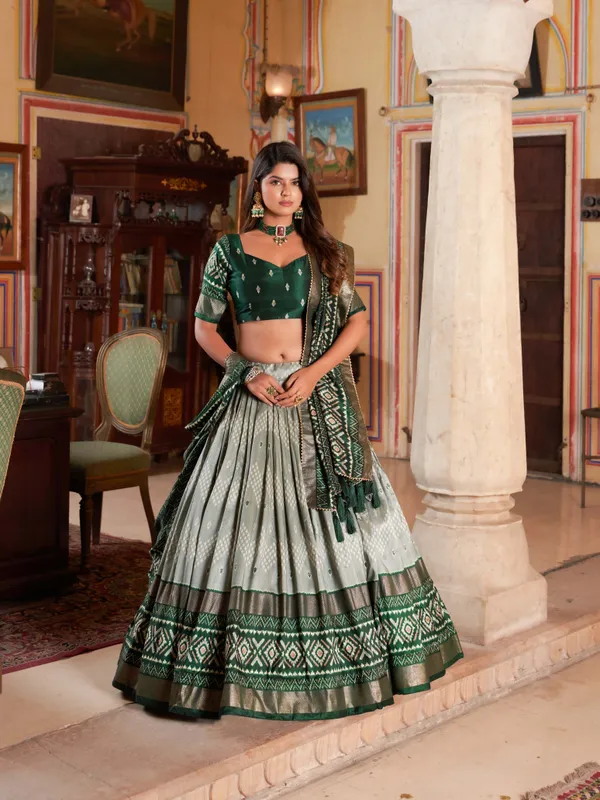 Green_Premium_&_Elegant_Dola_Silk_Lehenga_Choli_For_Women