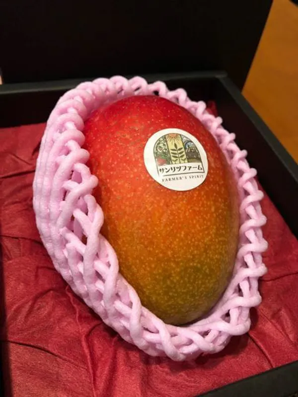 World's_most_expensive_mango_variety_'Miyazaki_Mango_Plant_|_Hybrid_And_Grafted_Plant_|_Pack_Of__1