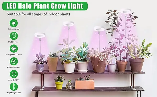 Grow_Light_for_Indoor_Plants,_Full_Spectrum_LED,_Adjustable_Height_and_Brightness,_Timer,_Ideal_for_Small_Plants